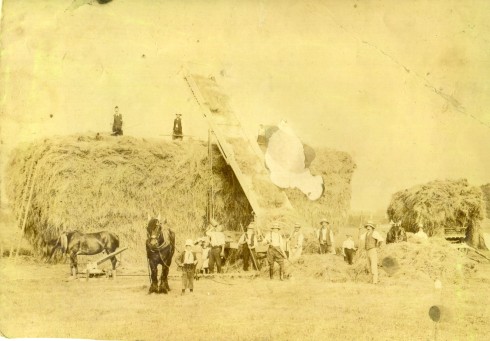  THIS DELIGHTFUL OLD PHOTOGRAPH OF HAYMAKING DOWN ON THE FARM, IN DERBYSHIRE 1890s